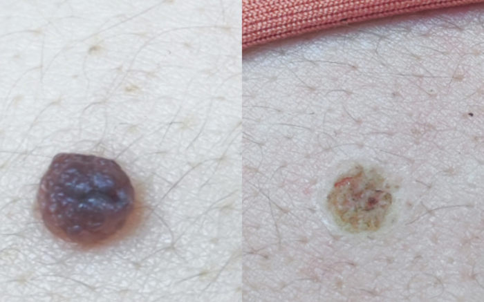 Captura de pantalla 2026-03-25 192528 (1)